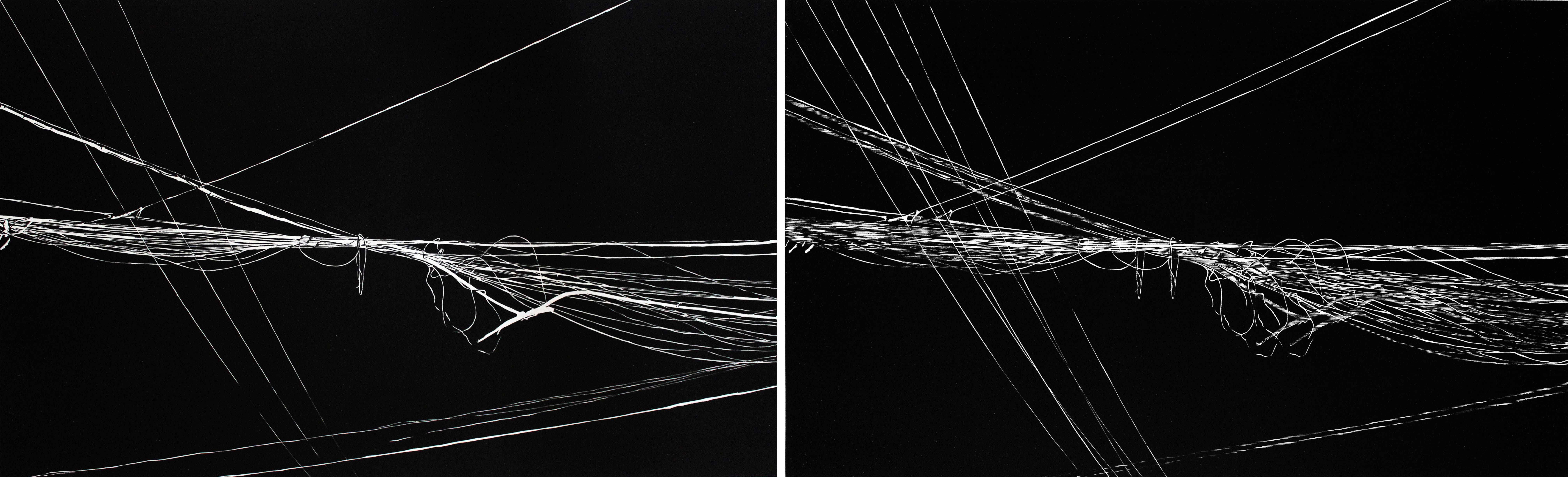 方小龙_迁·动-2013-1_52cm×168cm_2013s