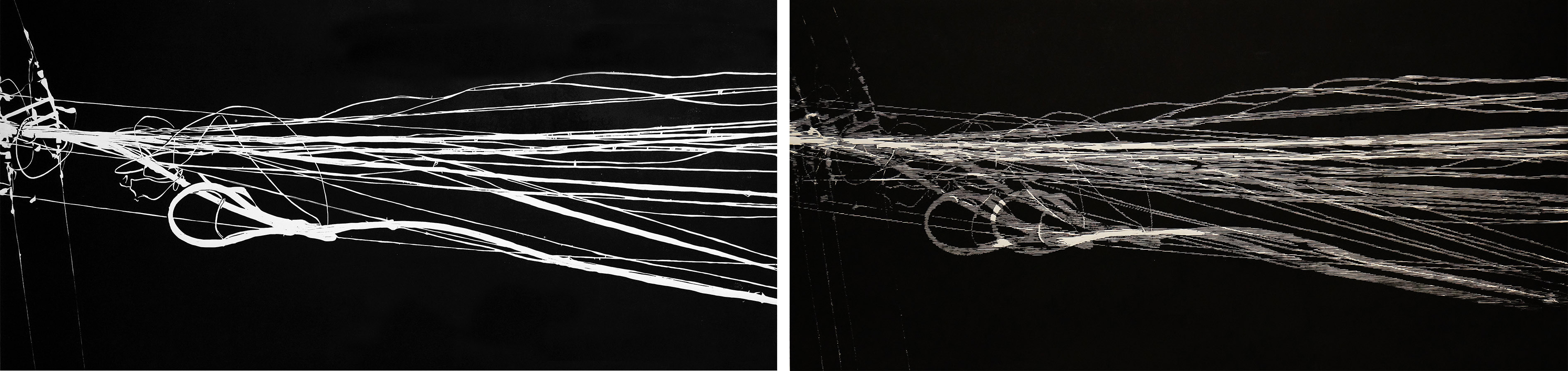 方小龙_迁·动-2013-2_52cm×216cm_2013s